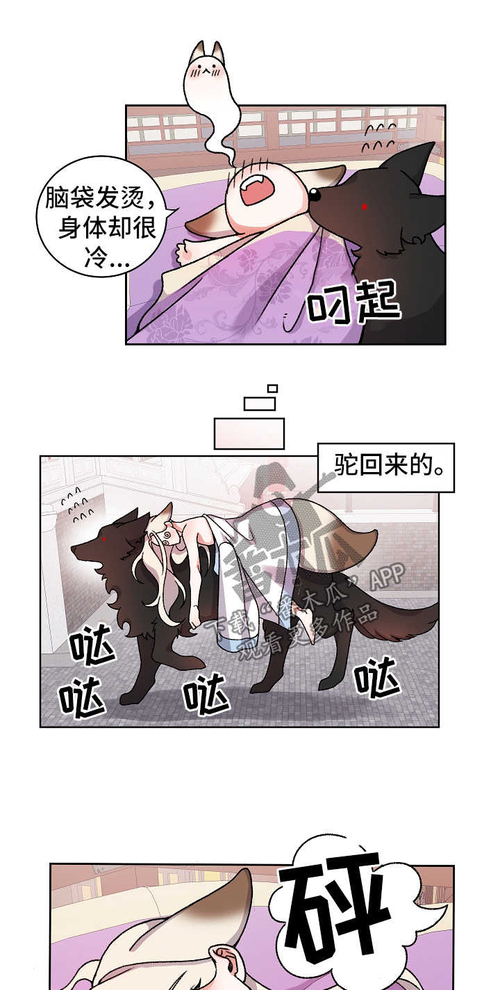 狐狼之血在线观看漫画,第33章：不回去也可以2图