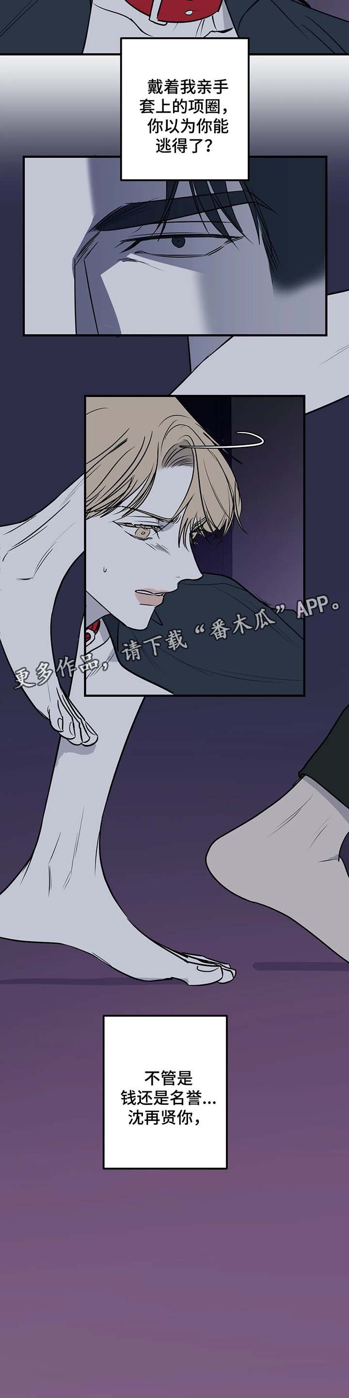 演奏者怎么读漫画,第36章：都是因为爱2图