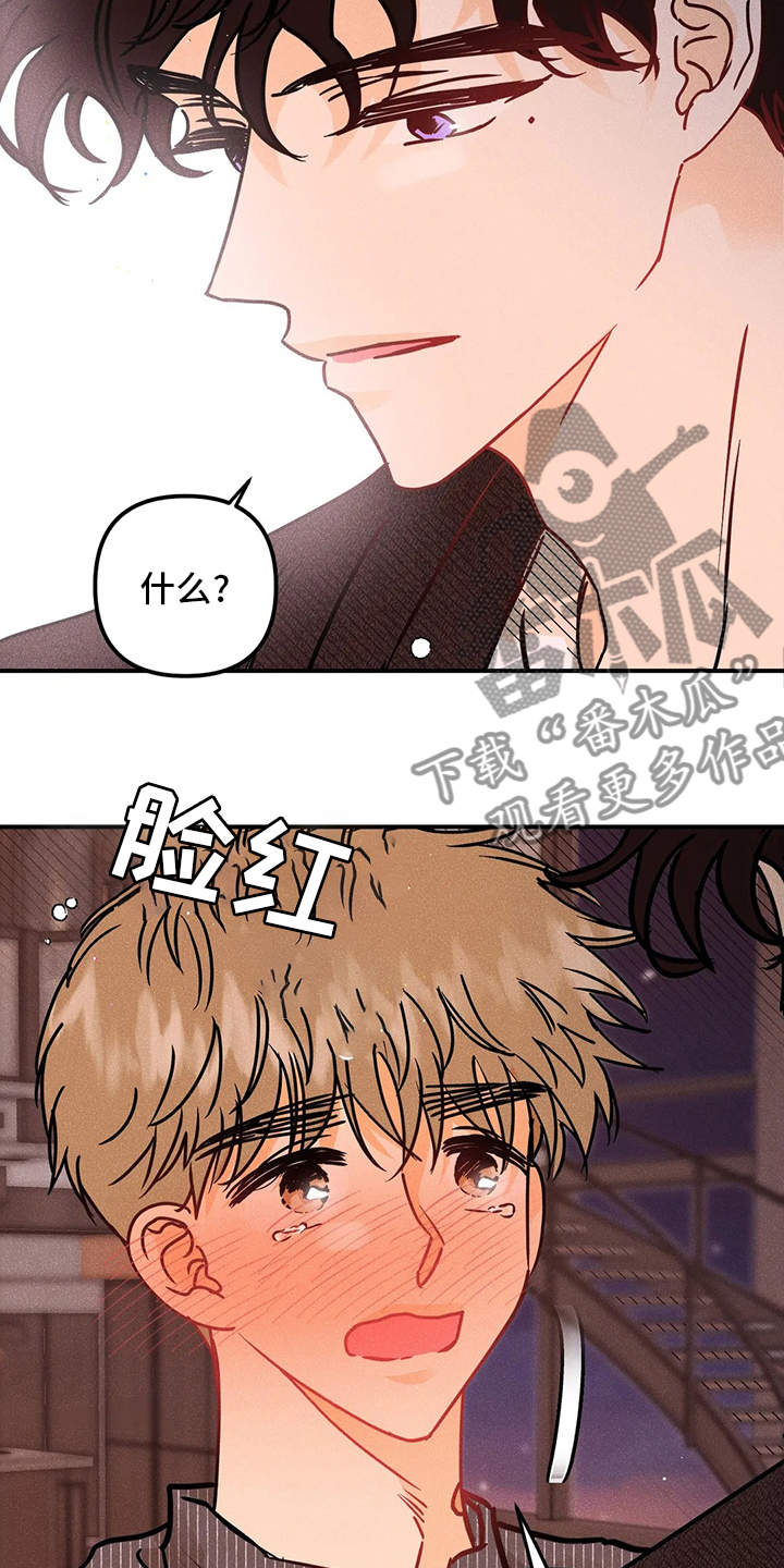 爱的赞歌漫画,第68章：表白2图