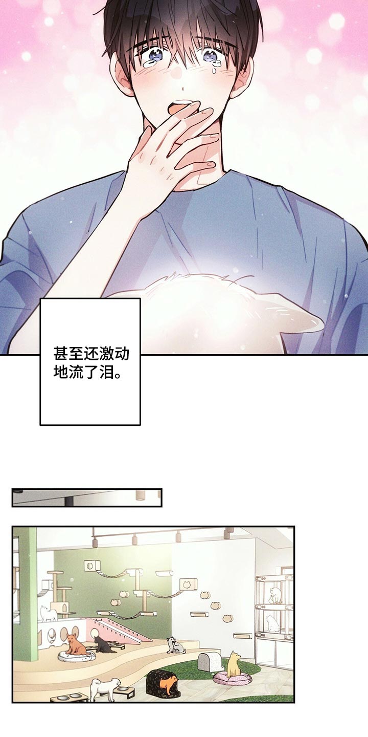 雷云暴雨位置漫画,第96章：白色的小狗2图
