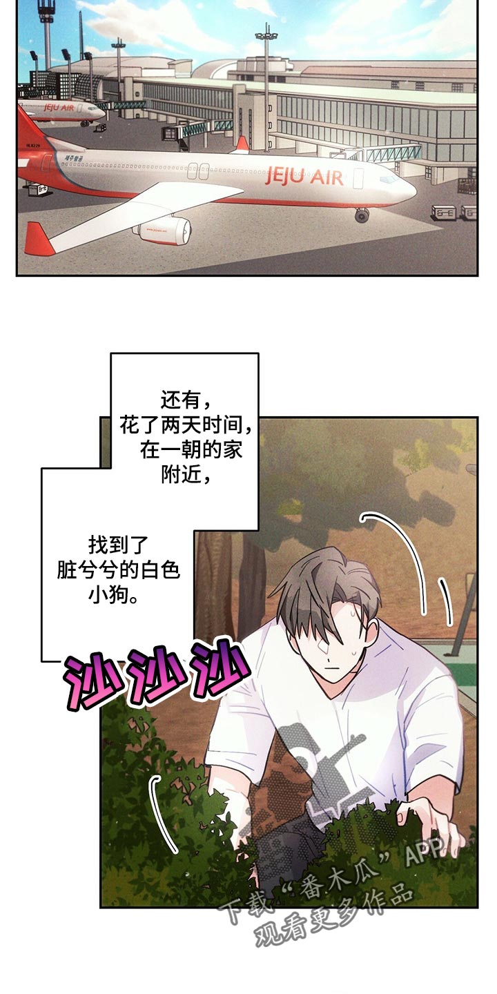 雷云暴雨位置漫画,第96章：白色的小狗2图