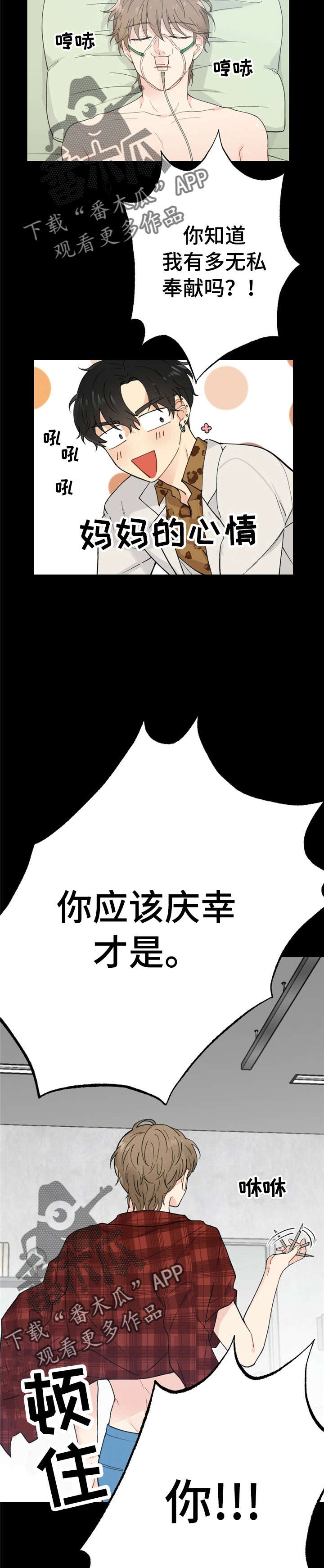 每月的哪天理发最好漫画,第8章：漂亮宝贝的三合会：怒吼1图