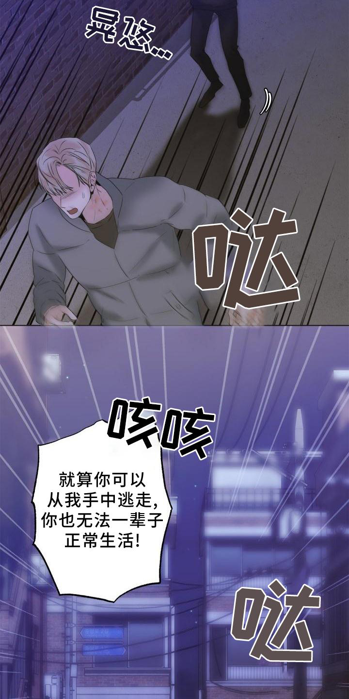 危险的杜鹃连续剧漫画,第26章：简单2图