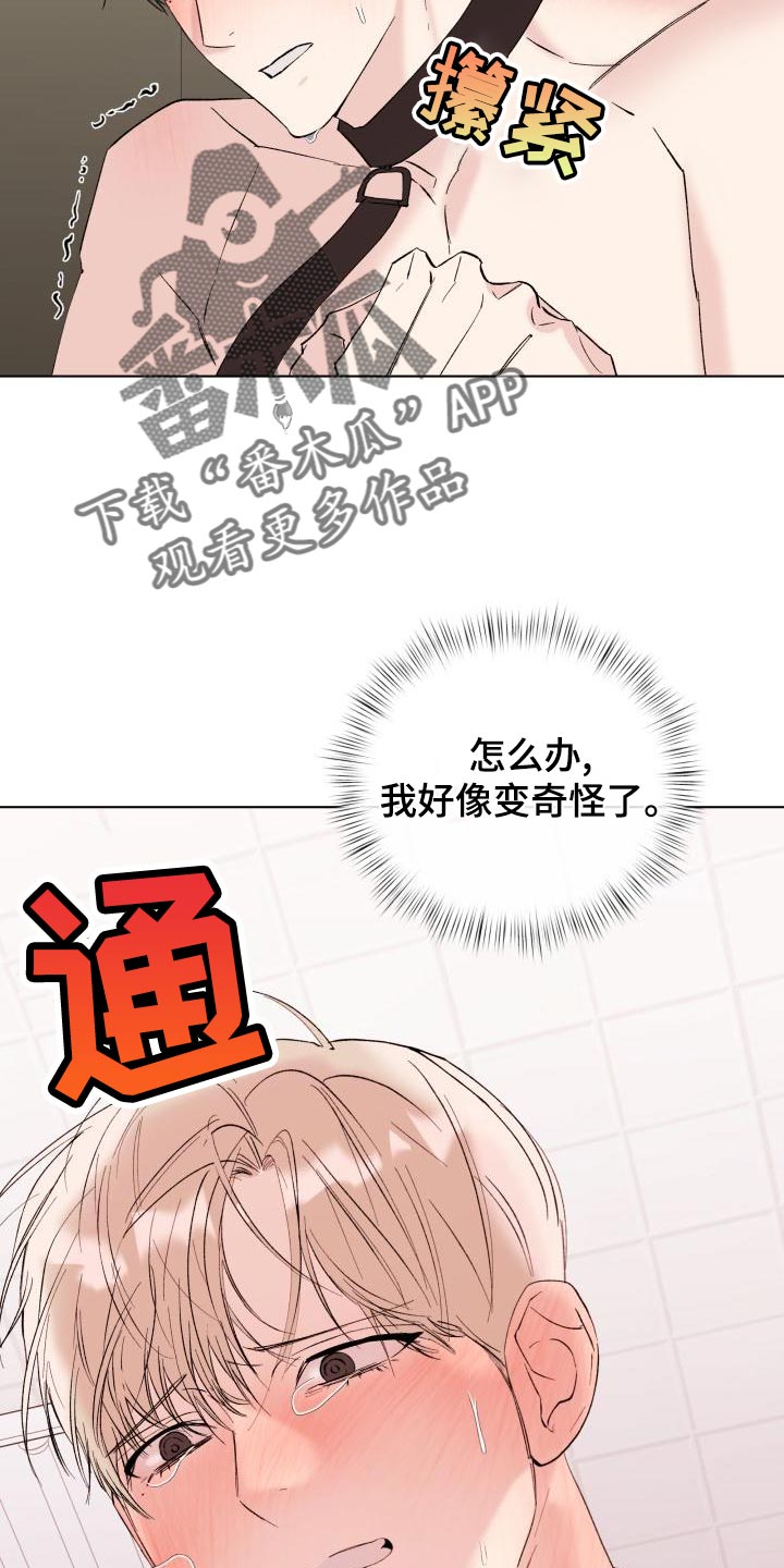 危险之爱电视剧泰剧免费观看漫画,第20章：回家吧2图