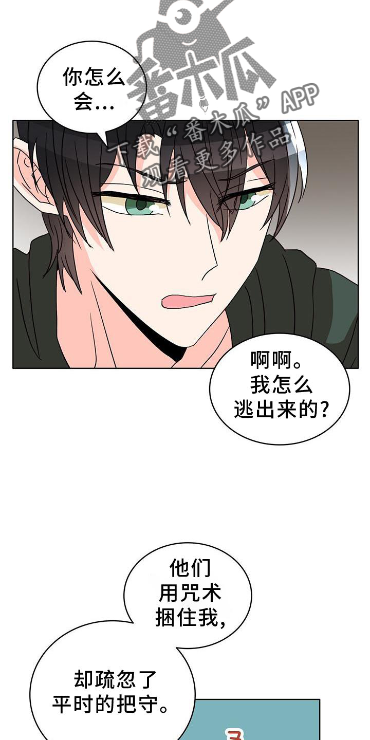 怪物恋曲漫画,第50章：救场2图