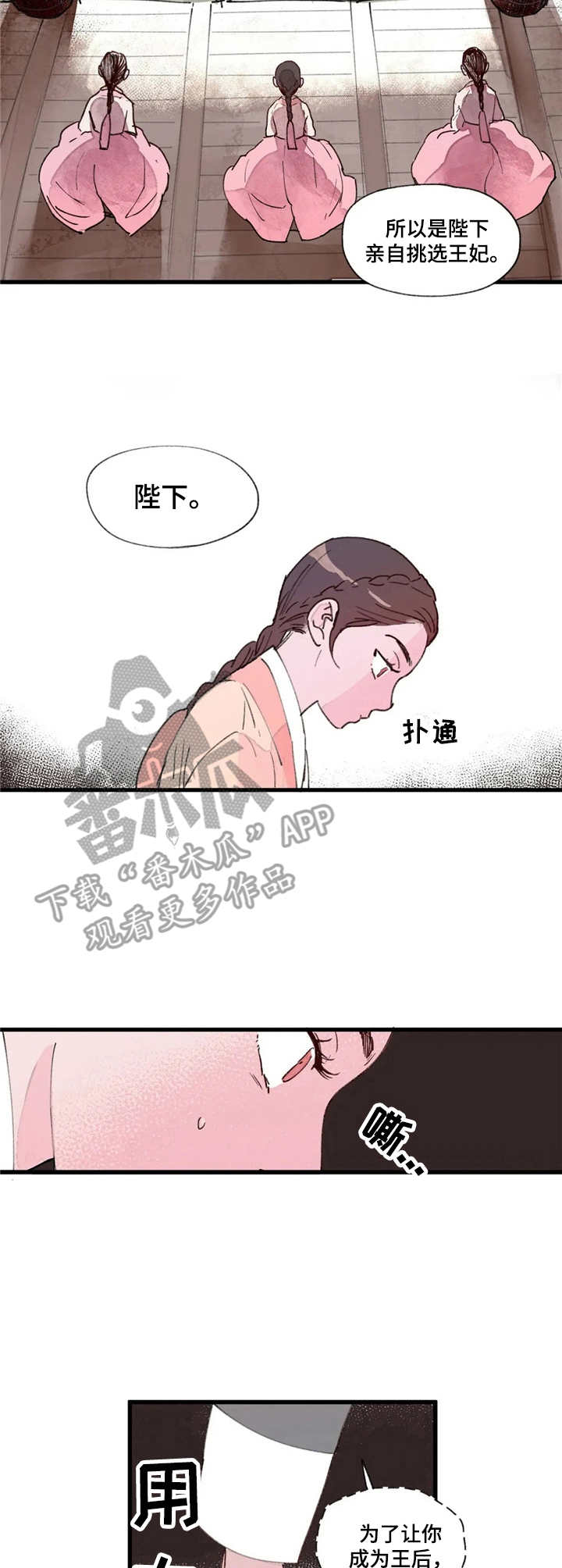 宫廷杀机图片漫画,第4章：面圣1图
