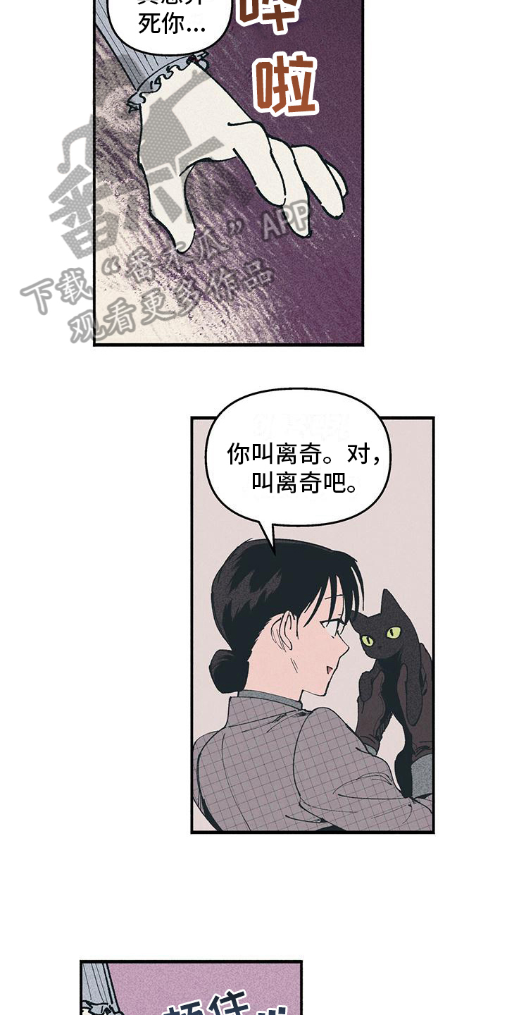 女巫岛公园漫画,第18章：迟疑2图