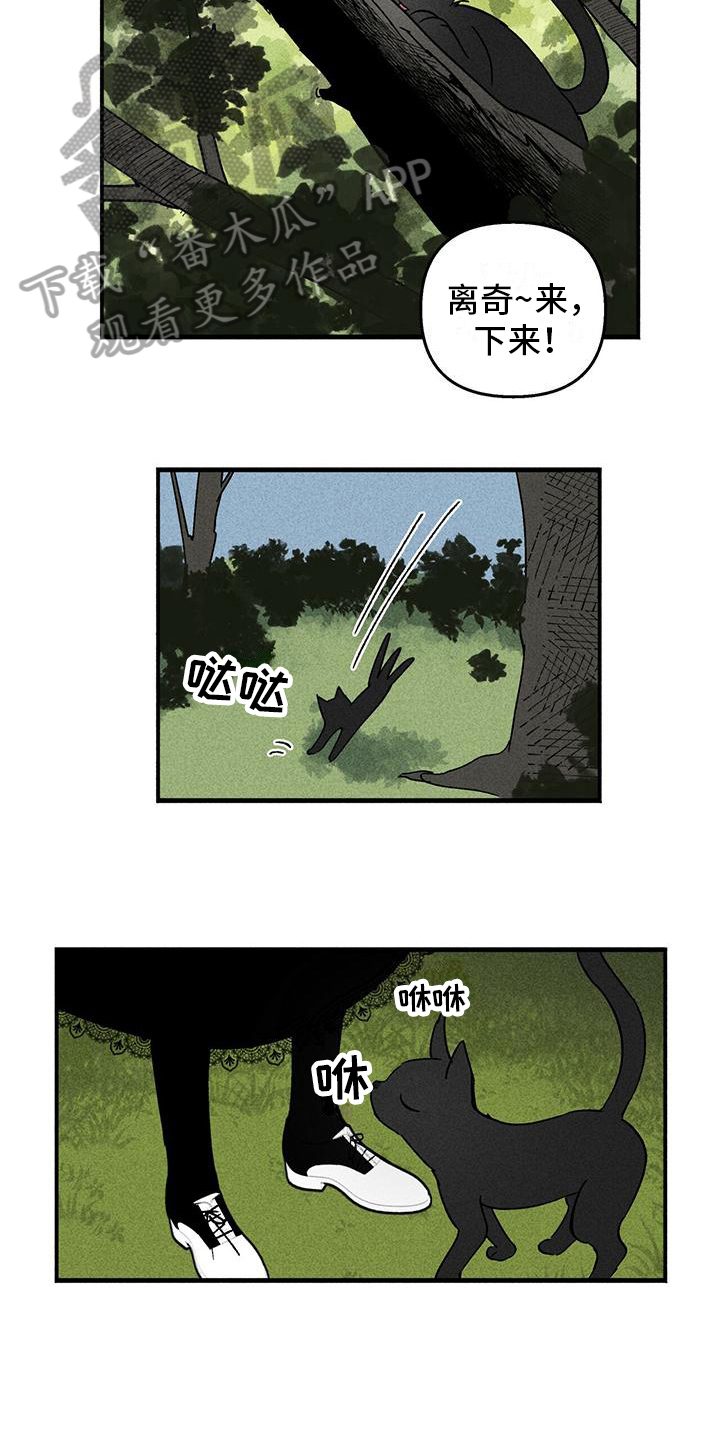 女巫岛漫画,第25章：询问1图