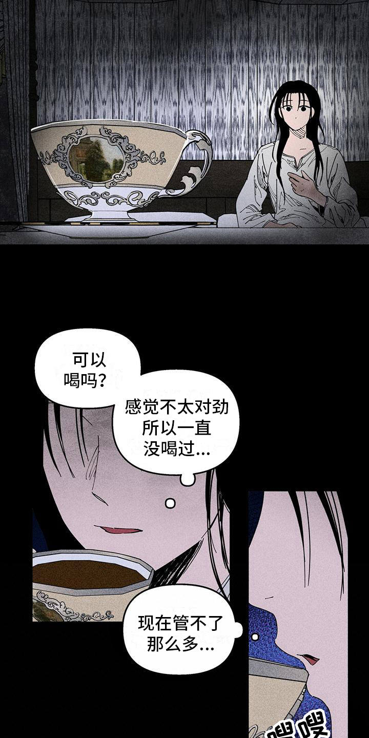女巫岛漫画,第34章：日记1图