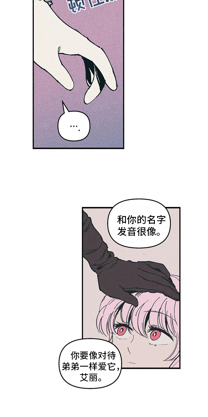 女巫岛公园漫画,第18章：迟疑1图