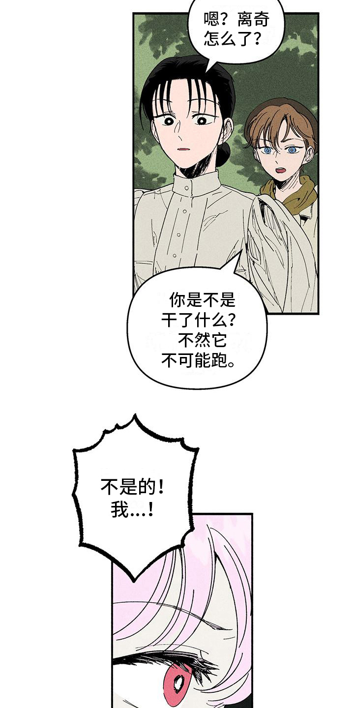 女巫岛漫画,第25章：询问1图