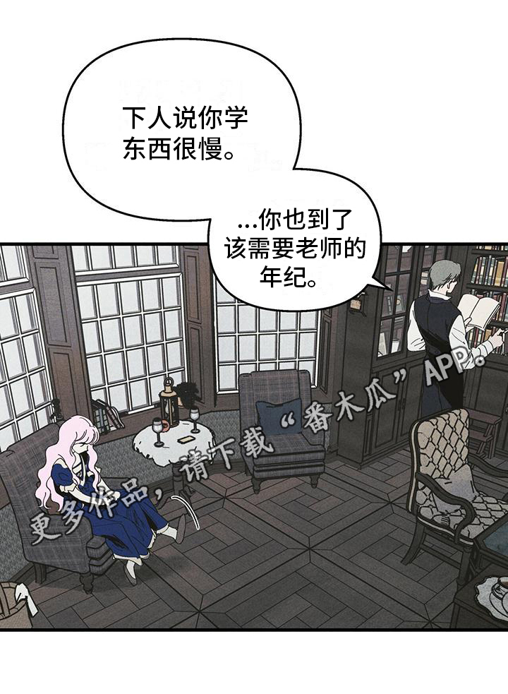 女巫岛啤酒罐漫画,第30章：影子2图