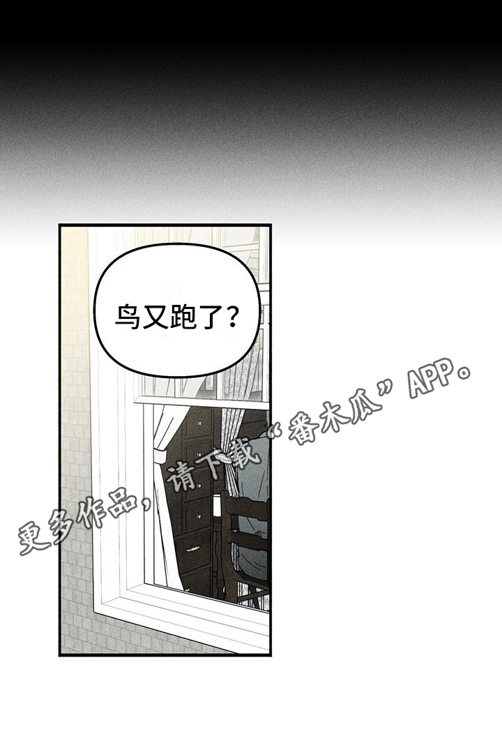 女巫岛漫画,第11章：双胞胎2图