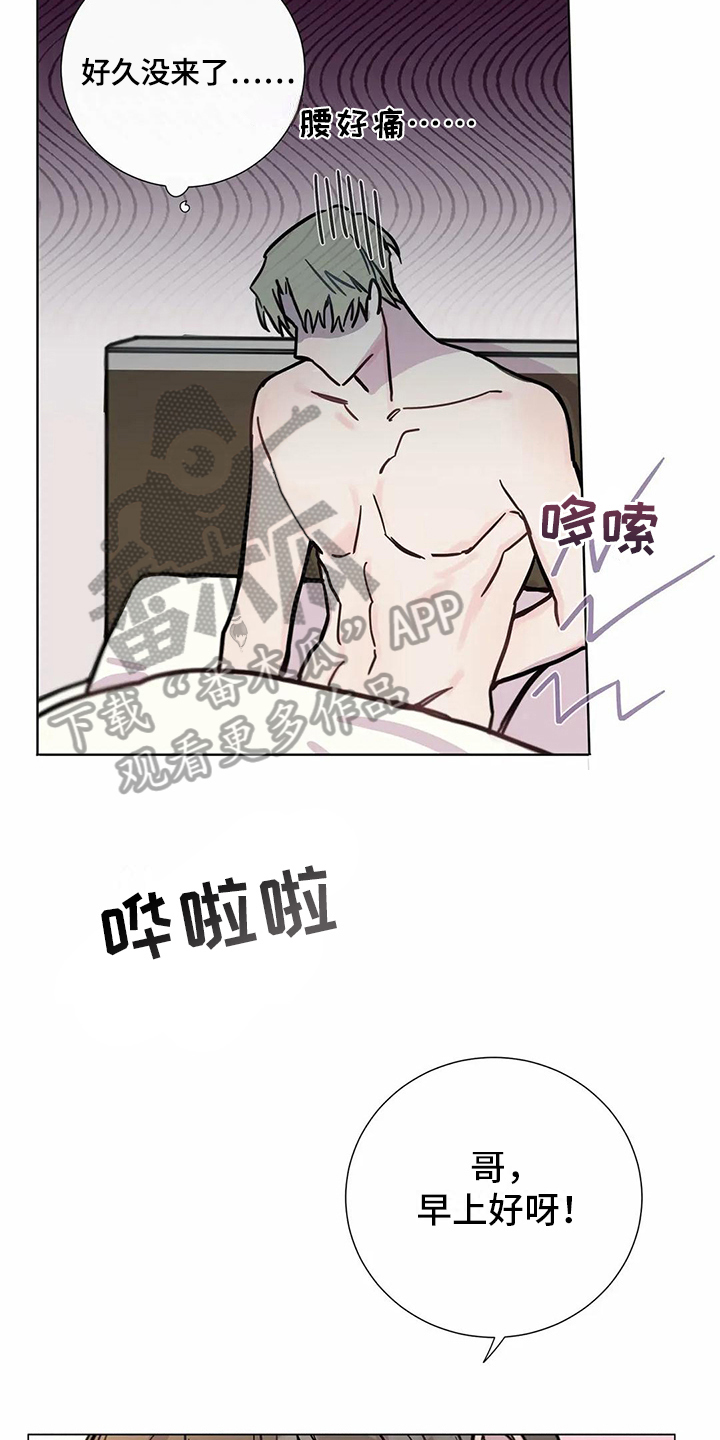 糟糕的夜晚漫画漫画,第110章：我们的初恋：答应2图