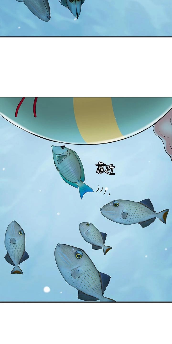快乐在城市上空飘扬漫画,第62章：目光1图