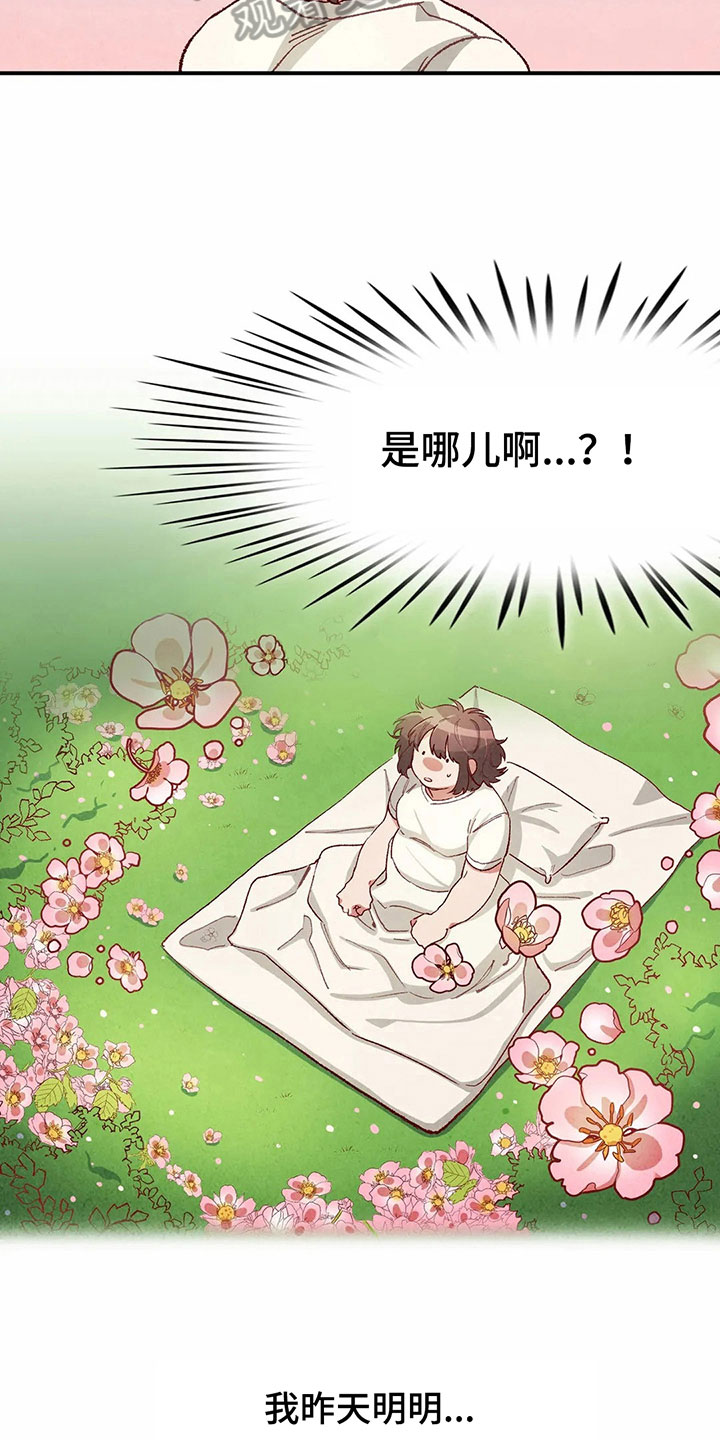 争宠精灵使漫画,第34章：似梦非梦2图