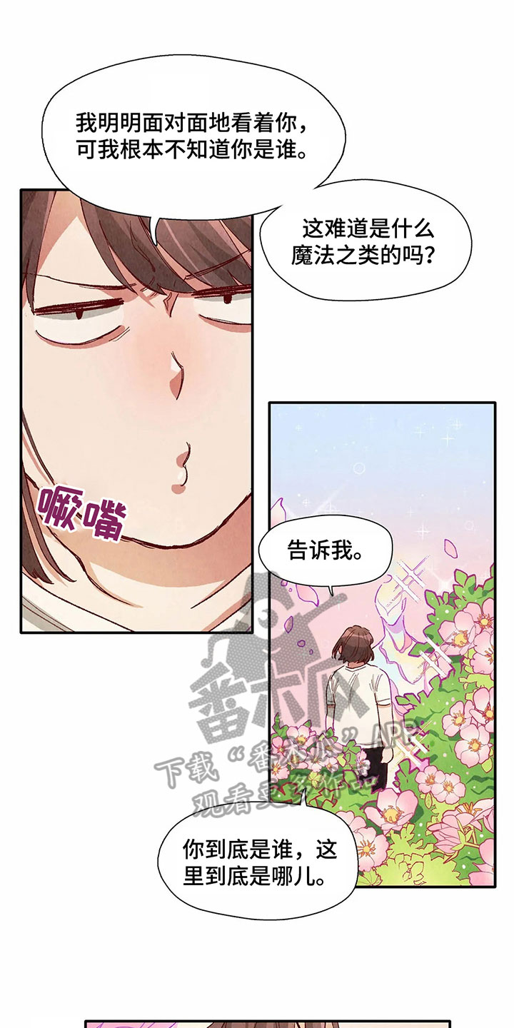 争宠精灵使漫画,第35章：形象1图