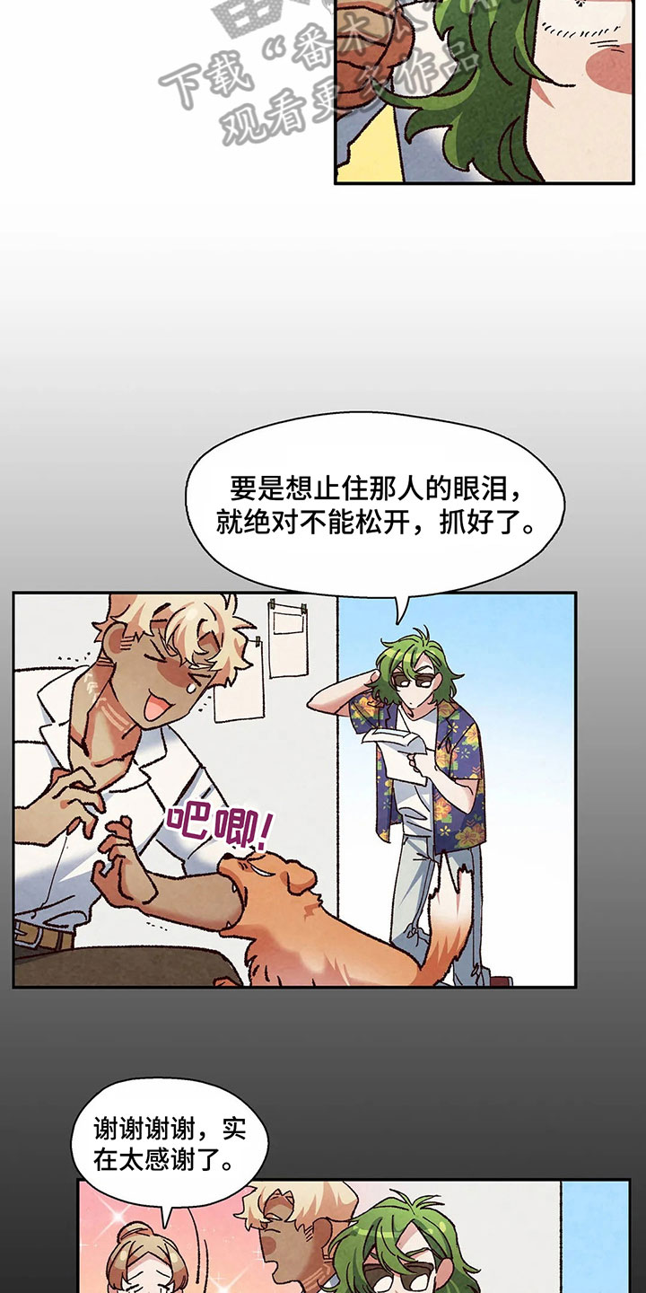 争宠精灵使漫画,第15章：失忆2图