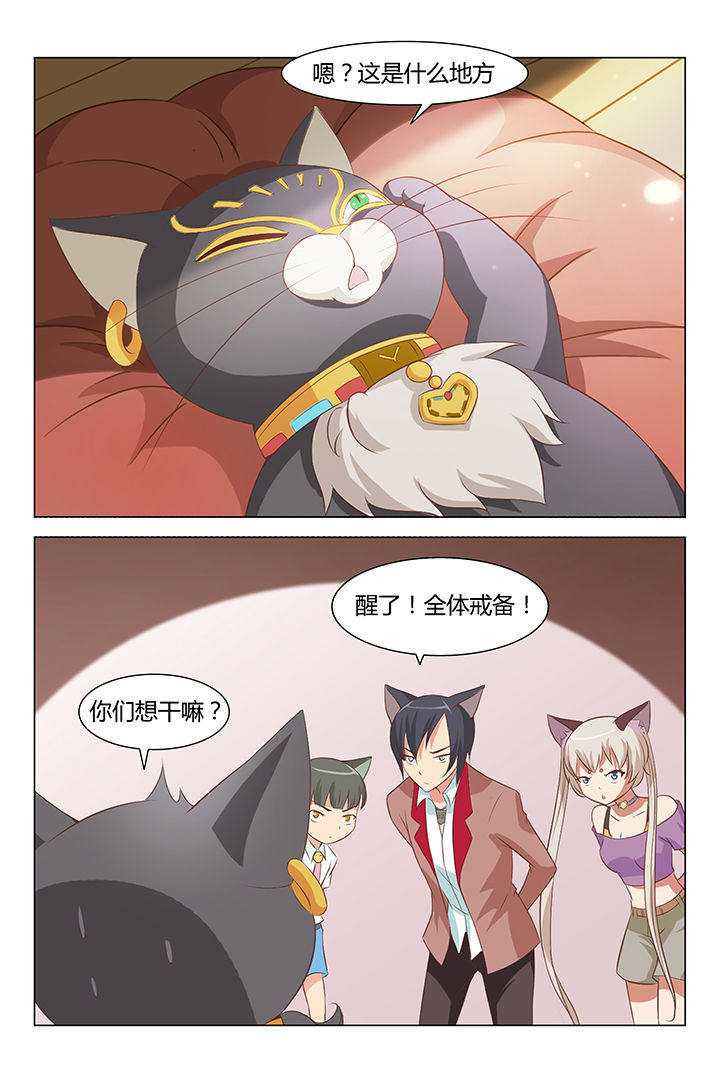 喵斯快跑漫画,第88章：1图