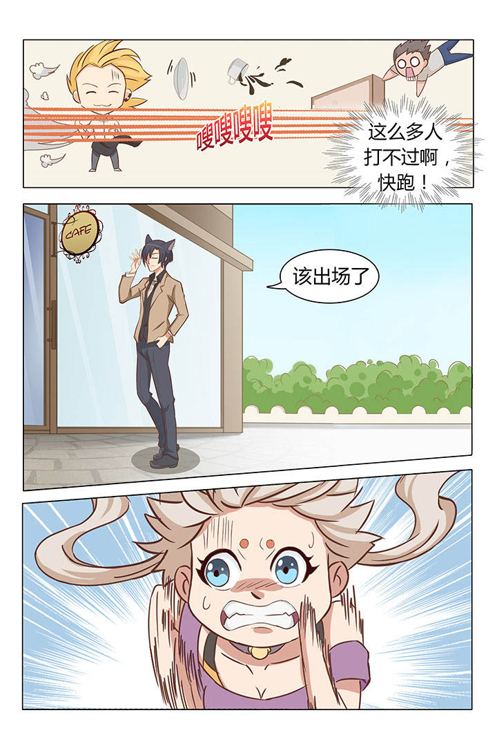 猫即正义漫画,第4章：2图