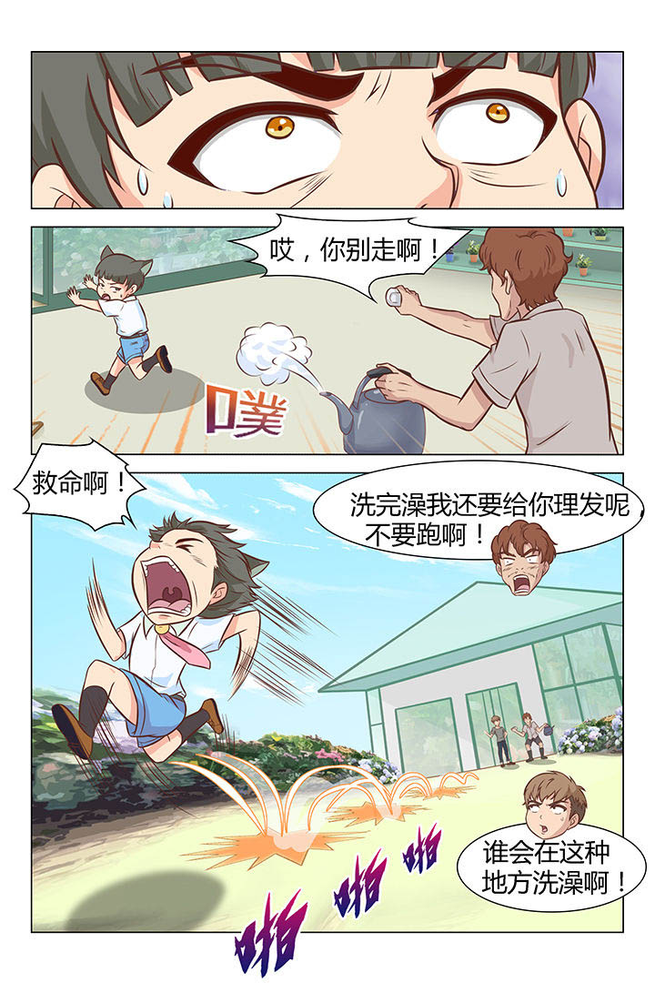 喵喵喵漫画,第34章：1图