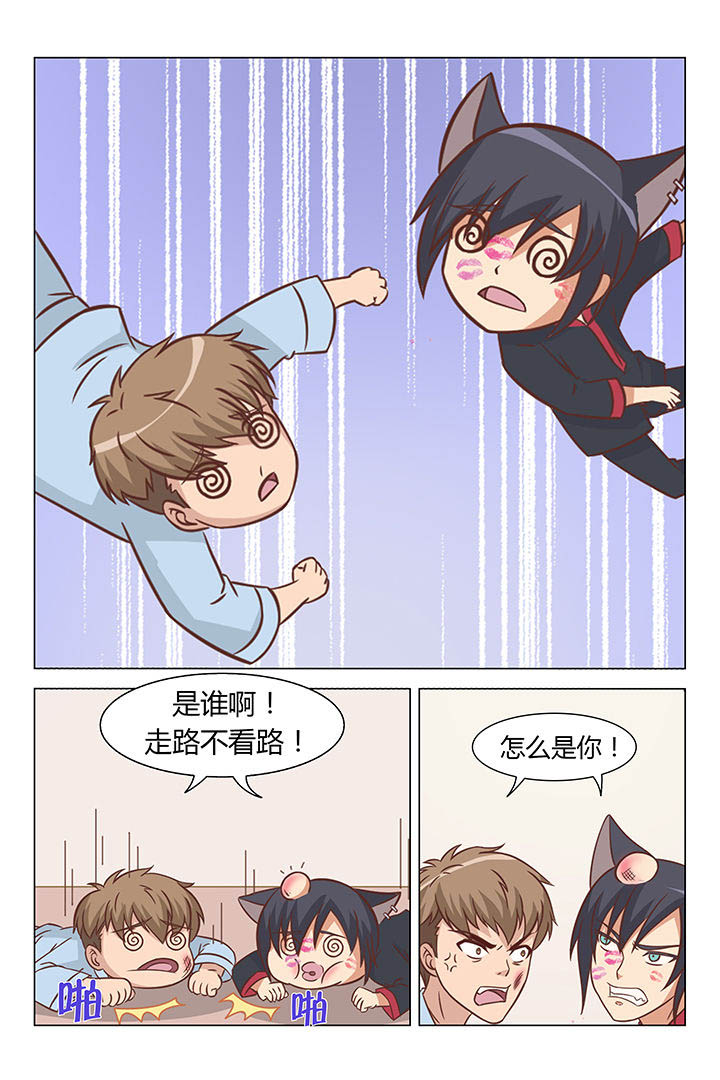 喵上漫画漫画,第51章：1图