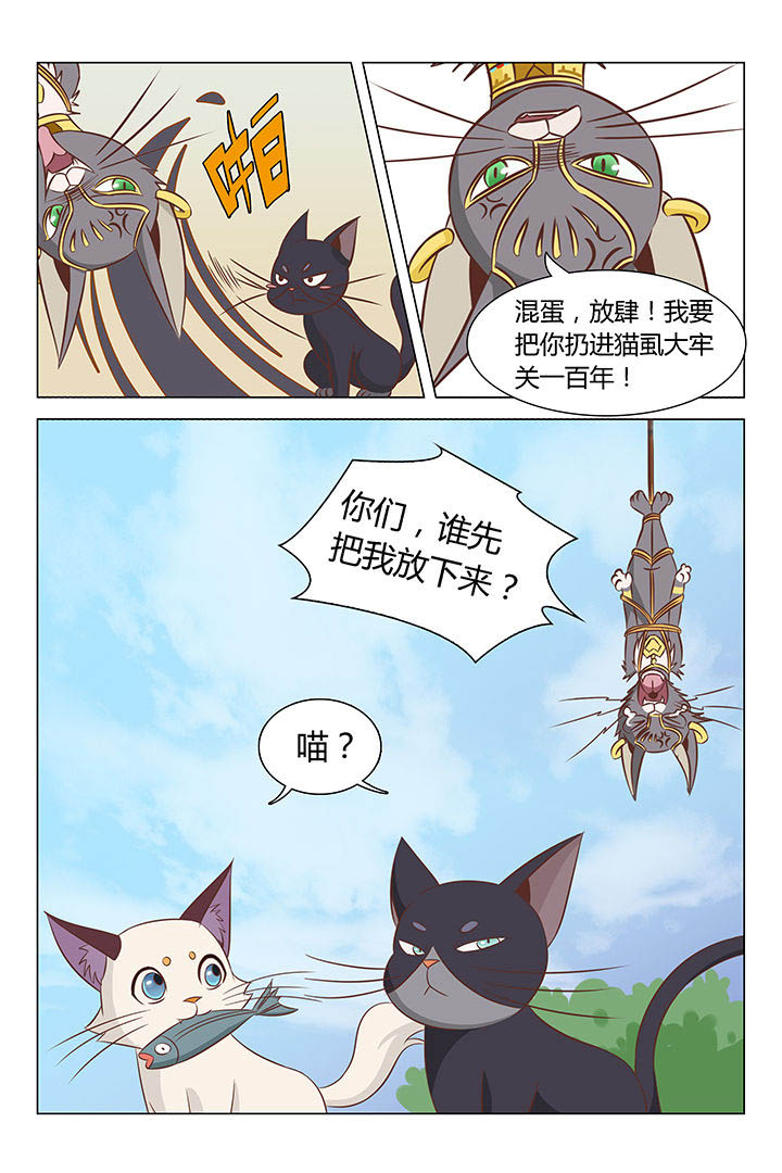 金币即是正义漫画,第20章：1图