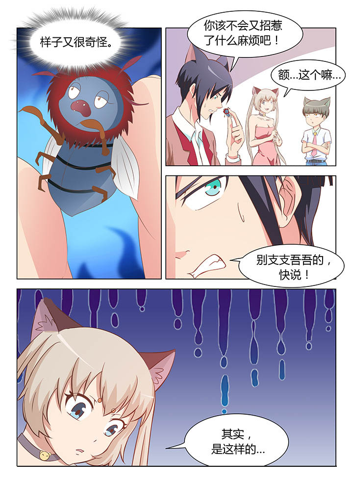 喵即正义漫画,第108章：2图