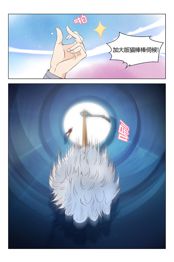 喵上漫画漫画,第147章：2图