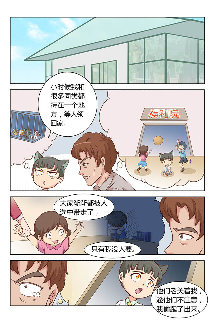 猫即正义漫画,第33章：1图