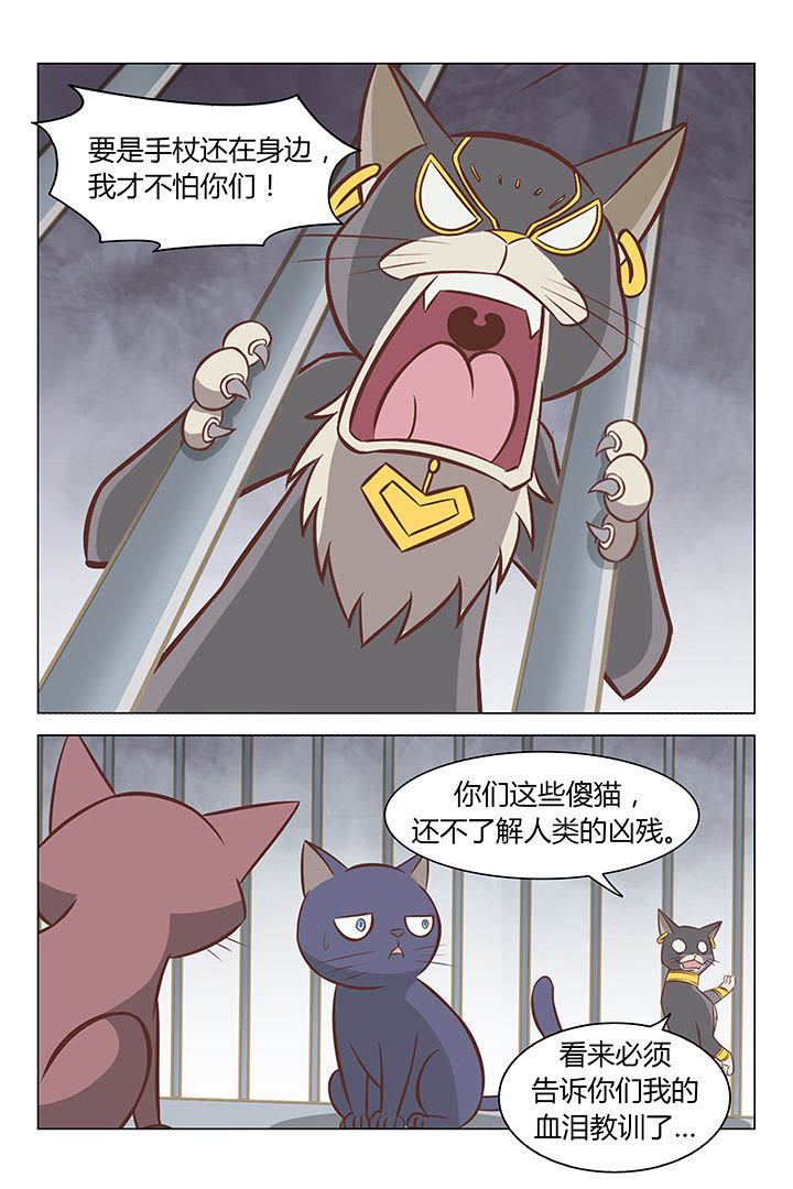 猫即正义漫画,第17章：1图