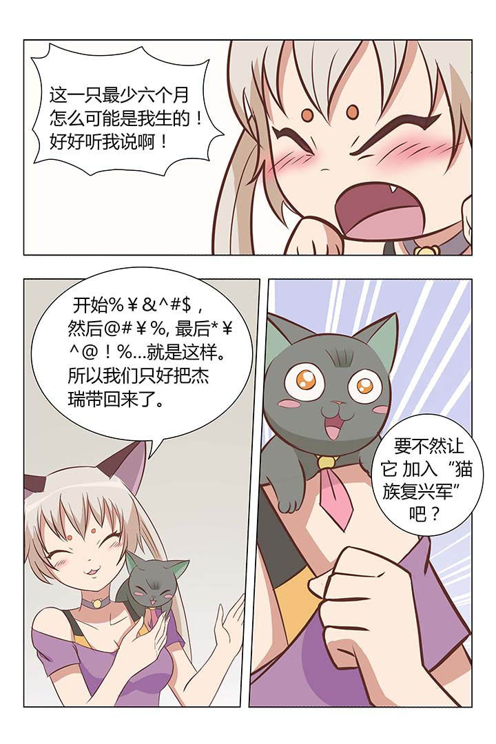 猫即正义漫画,第5章：1图