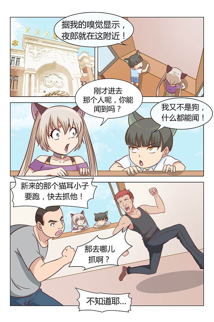 喵即正义漫画,第52章：1图