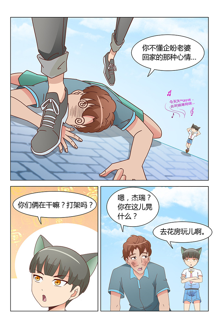 喵上漫画漫画,第103章：2图