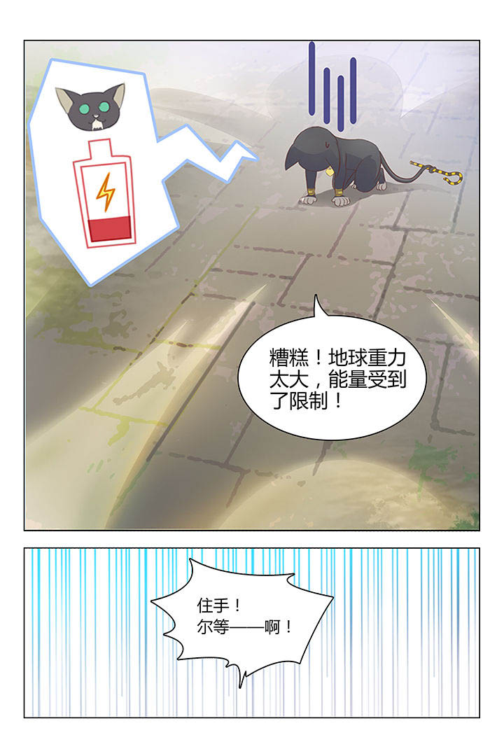 喵咪即正义漫画,第20章：2图