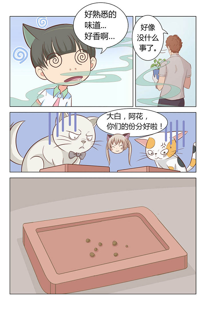 喵喵即正义漫画,第12章：1图