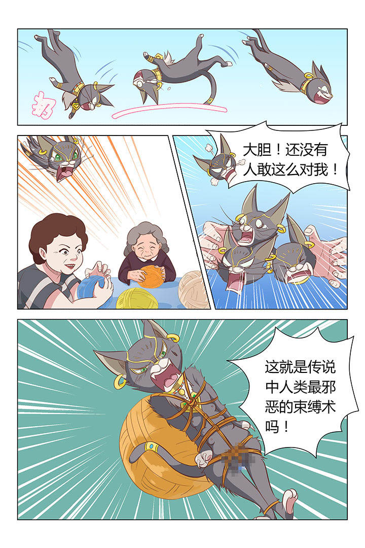 猫即正义漫画,第18章：2图