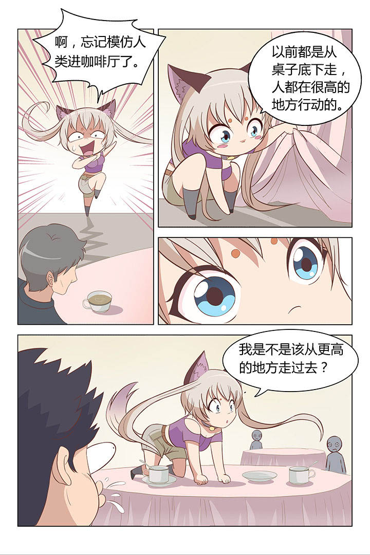 喵即正义怎么样漫画,第3章：1图