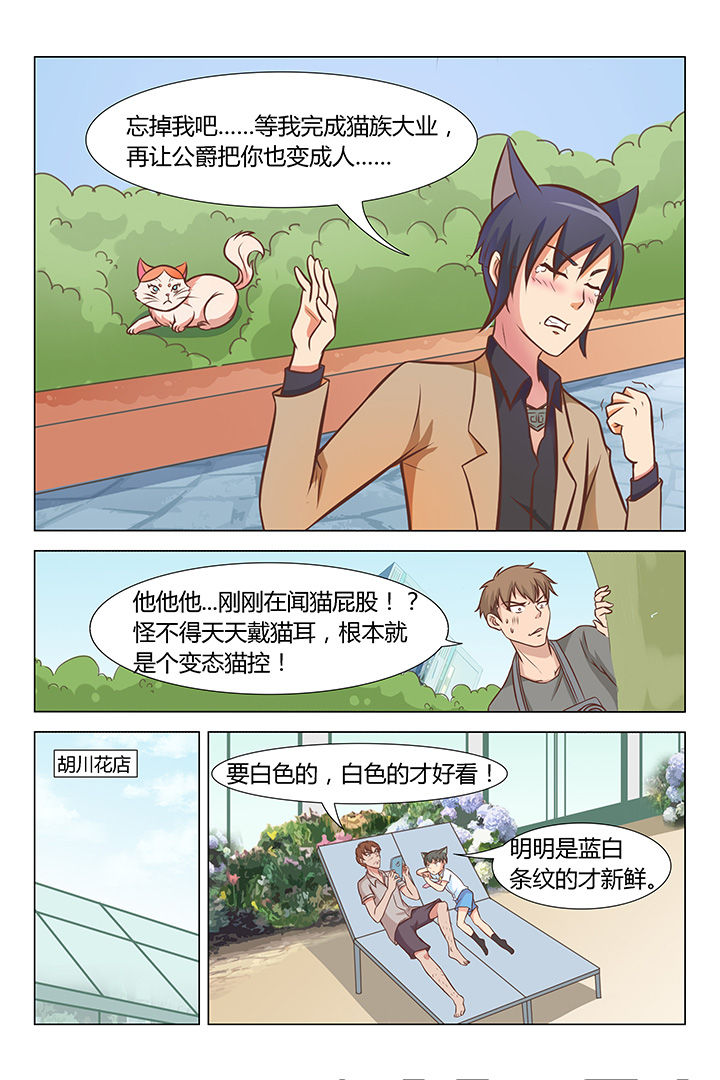 喵喵视频漫画,第70章：1图