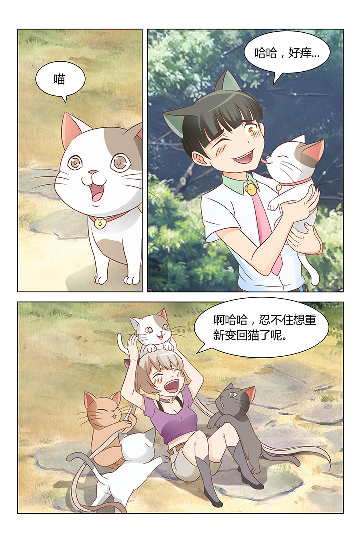 兔子即是正义漫画,第141章：2图