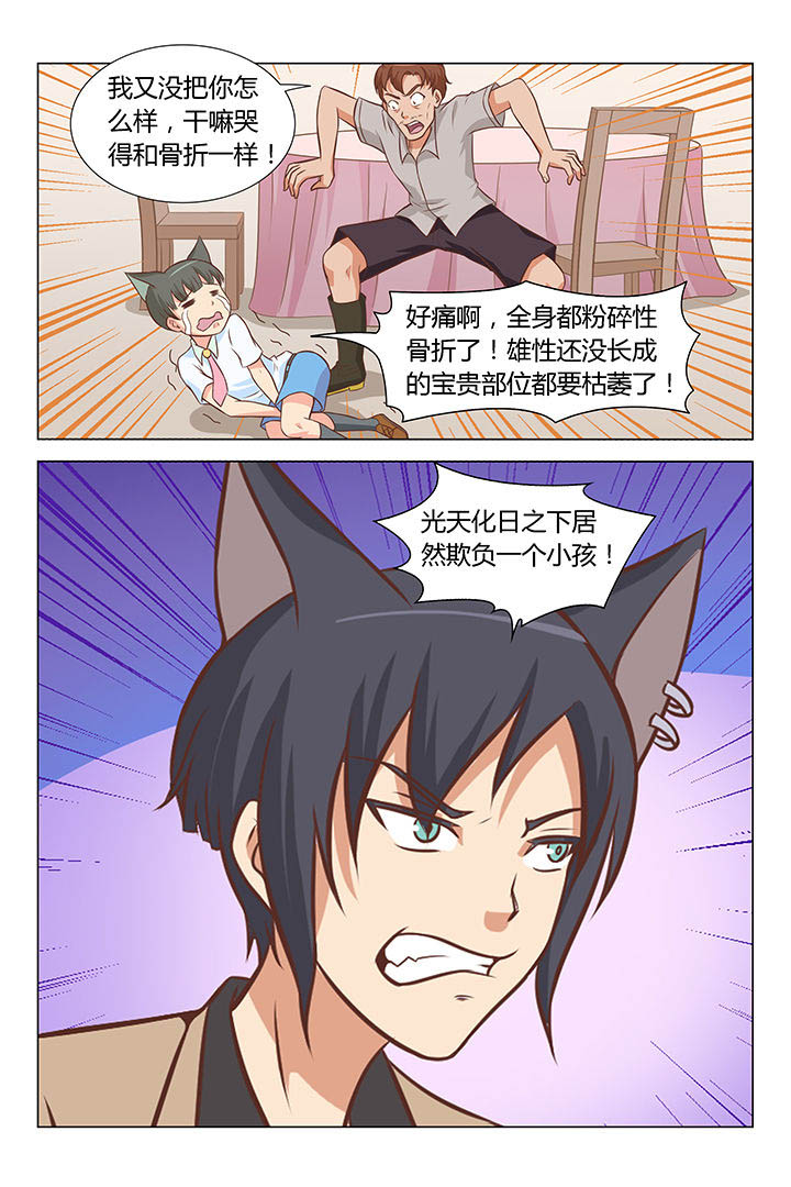 喵星大圣漫画,第61章：2图