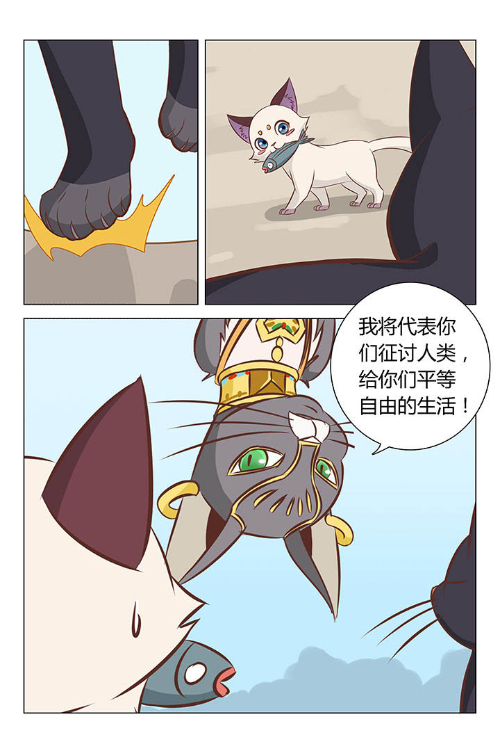 金币即是正义漫画,第20章：2图