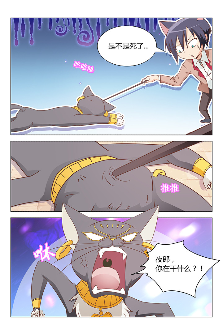 喵咪即正义漫画,第163章：1图