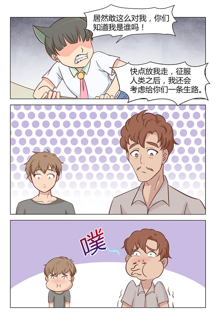 猫即正义漫画,第33章：2图