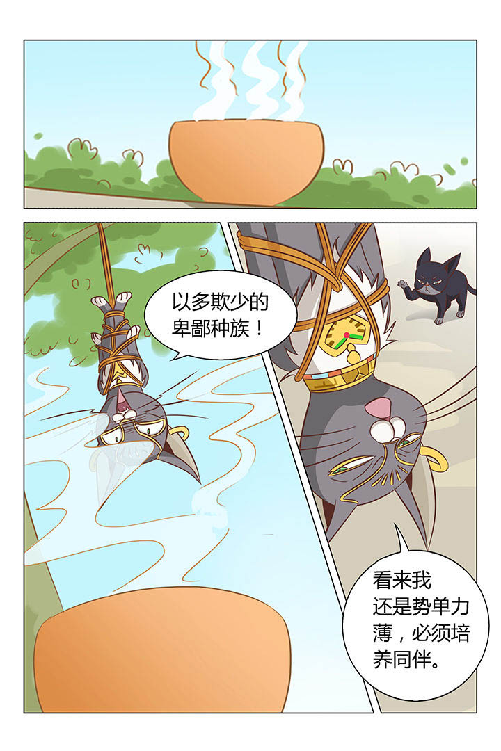 喵咪即正义漫画,第20章：2图