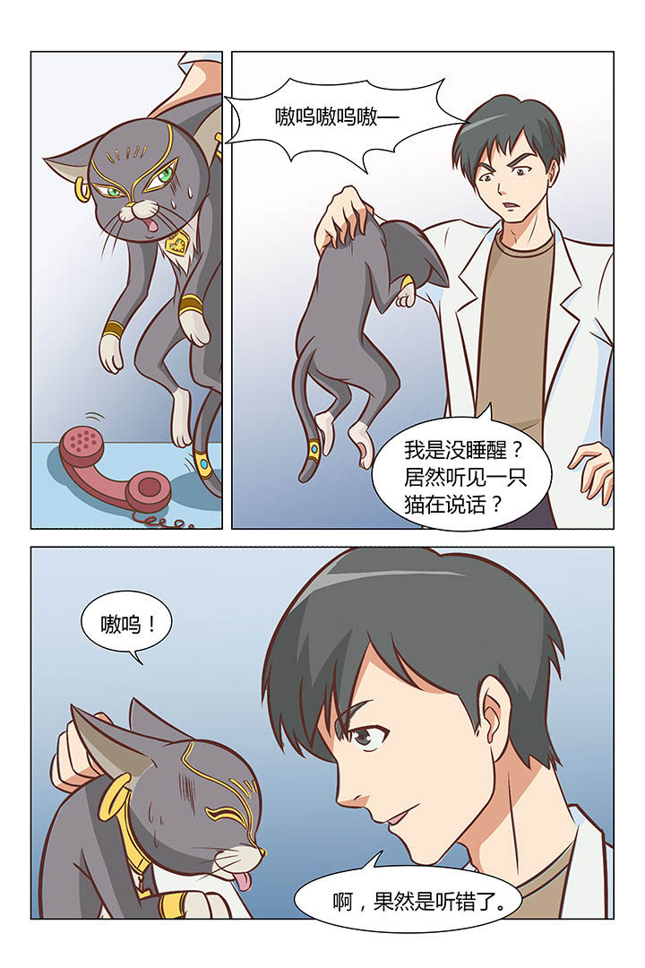 猫即正义漫画,第17章：1图