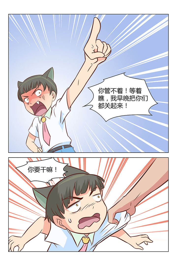 喵即正义漫画漫画,第33章：2图