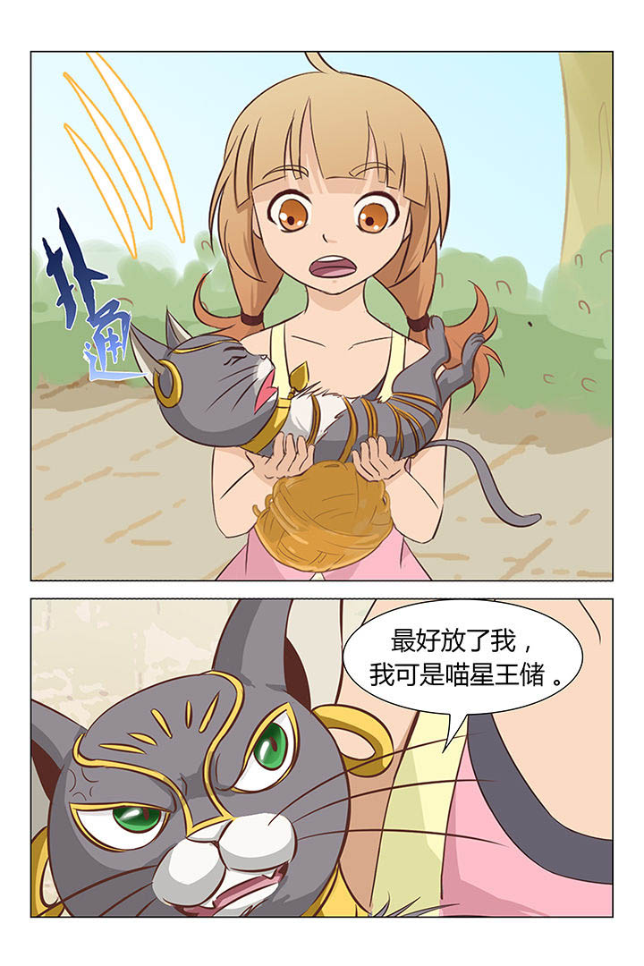 猫即正义漫画,第19章：2图