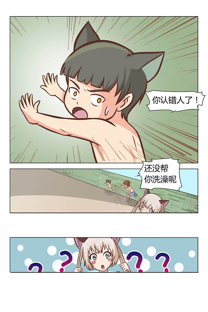 喵喵的花园漫画,第36章：2图