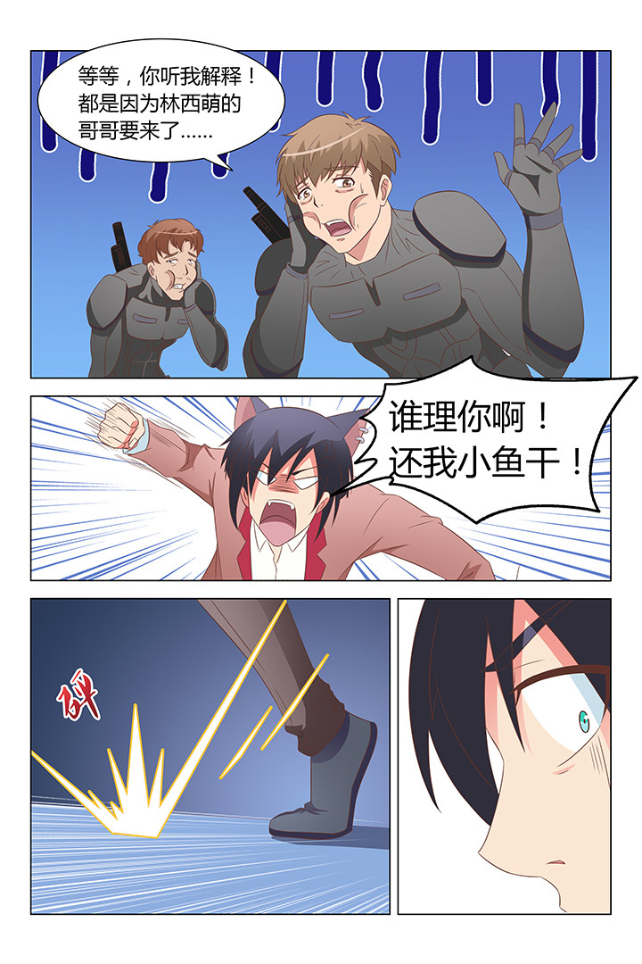 喵咪即正义漫画,第122章：2图